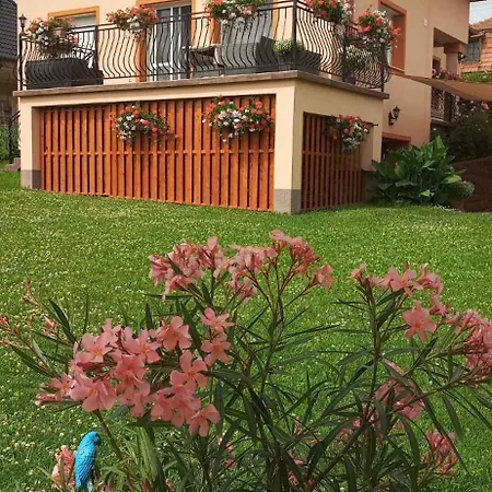 - Balaton 18797 Balatonfůzfő